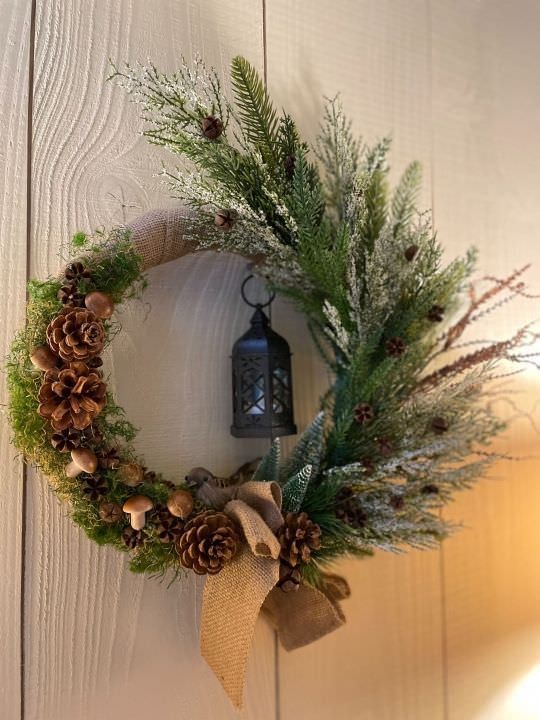 Sous-bois lumineux Image de Sous-bois lumineux