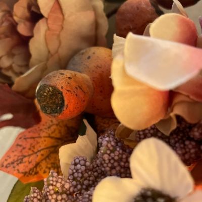 Promotions d'Automne Image de Promotions d'Automne